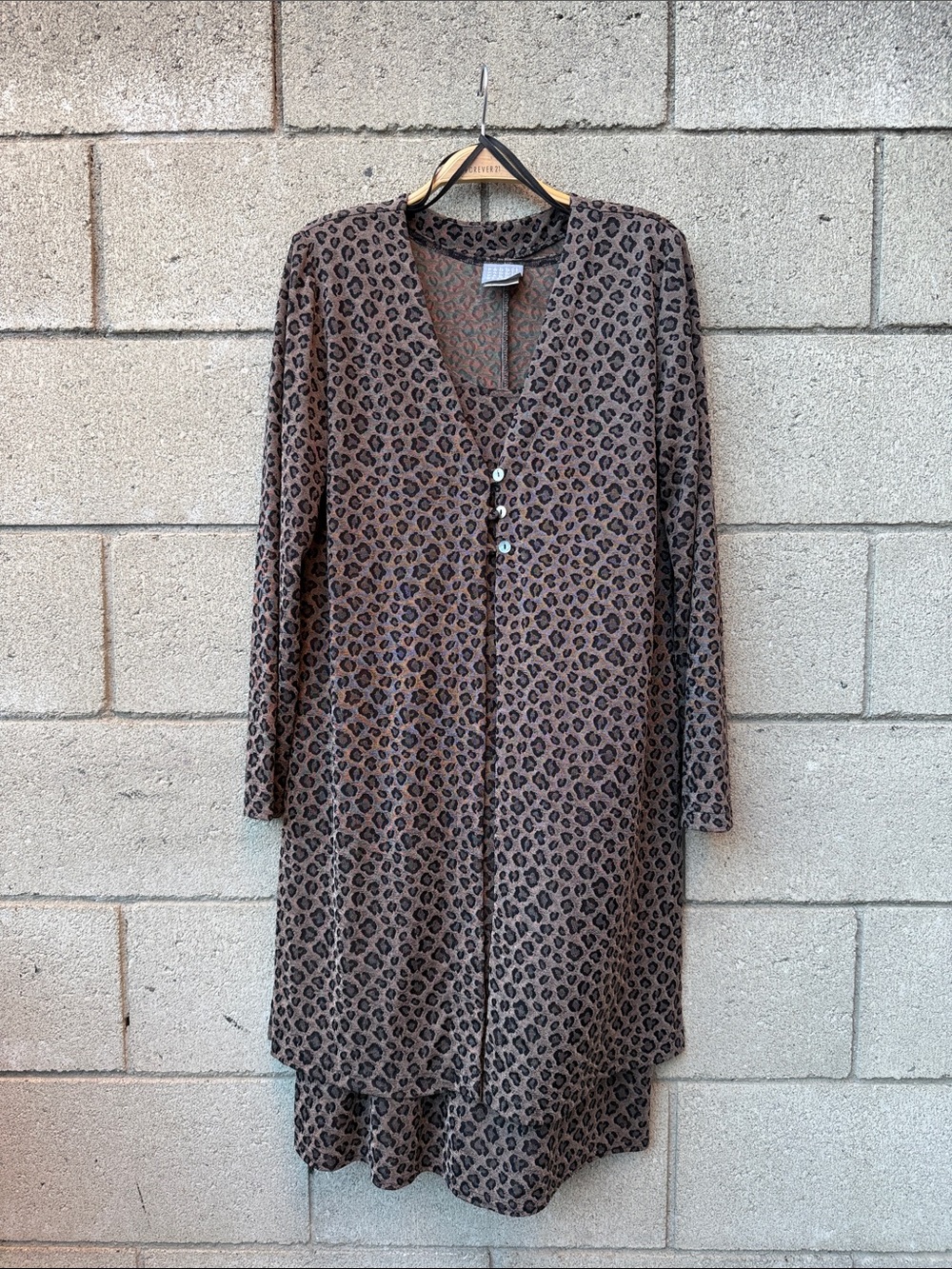 Leopard Print Long Sleeve V-Neck Dress and Jacket Set